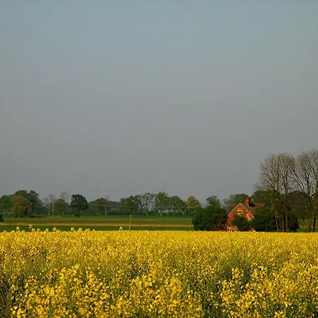 アパート Zum Schwarzen Stiefel- Atelierhaus