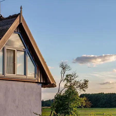 Gemuetliche Atelierhaus Lejlighed Rankwitz