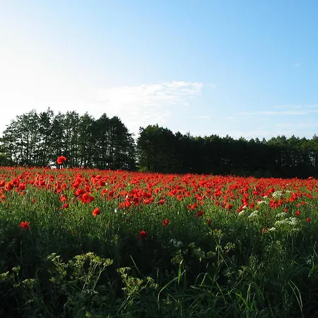 Zum Schwarzen Stiefel- Atelierhaus *