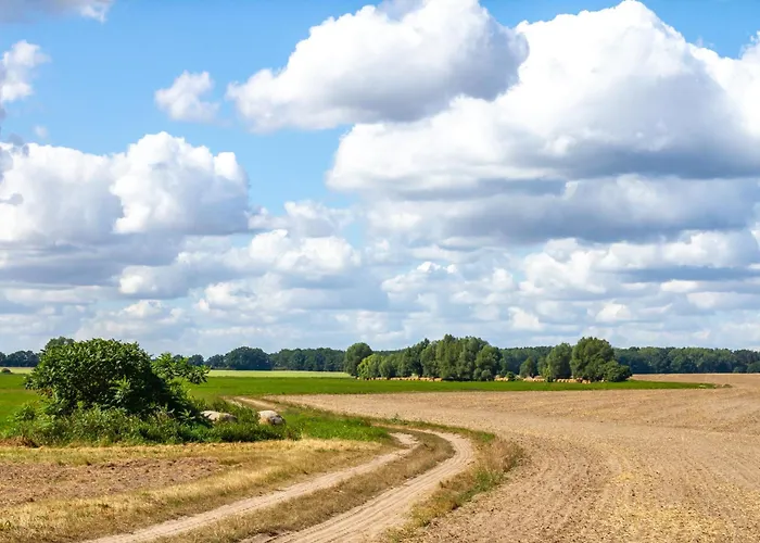 Zum Schwarzen Stiefel- Atelierhaus