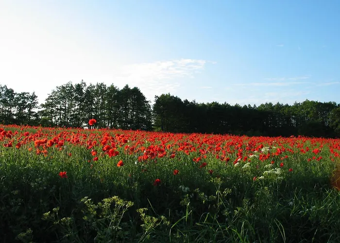 Zum Schwarzen Stiefel- Atelierhaus *