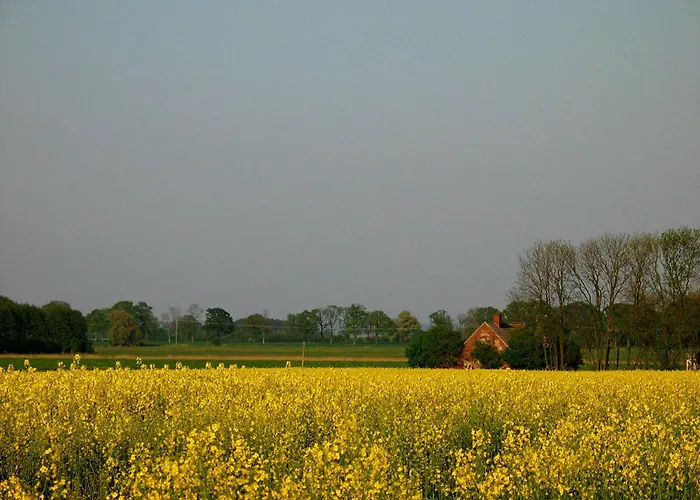 Zum Schwarzen Stiefel- Atelierhaus דירה *